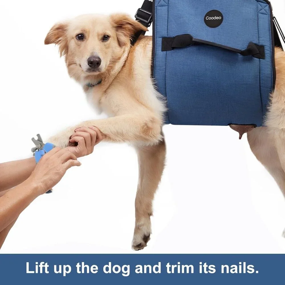 COODEO Dog Carry Sling, Emergency Backpack Pet Legs Support XL